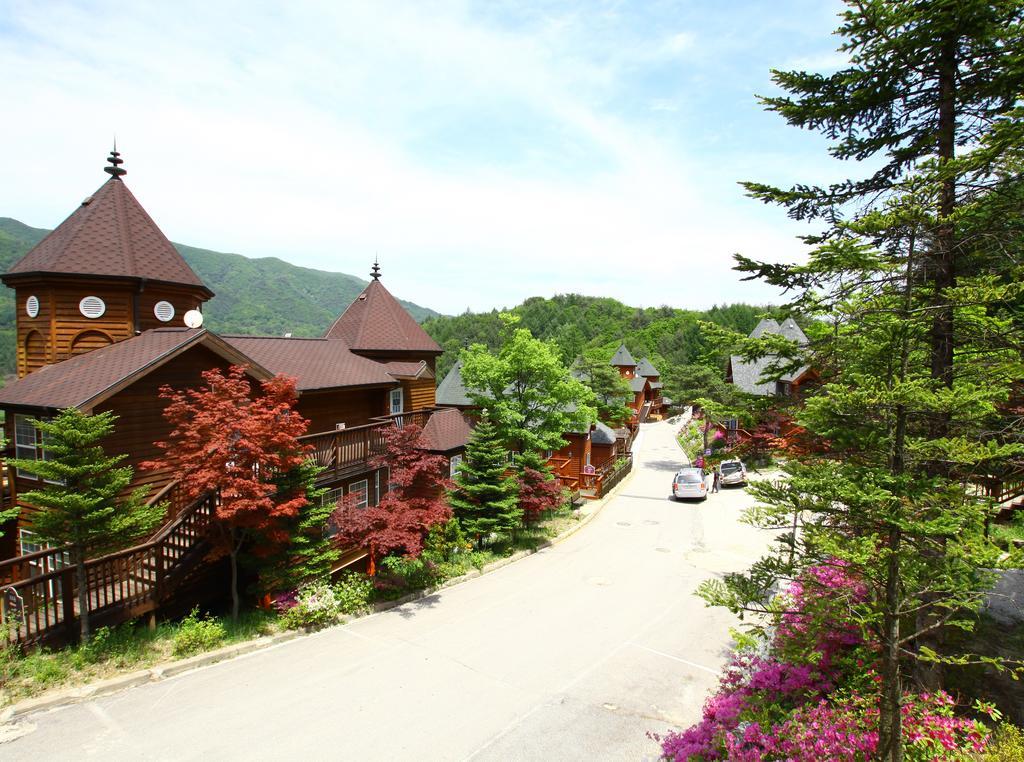 Elf Spa Resort & Hotel Pyeongchang Bagian luar foto